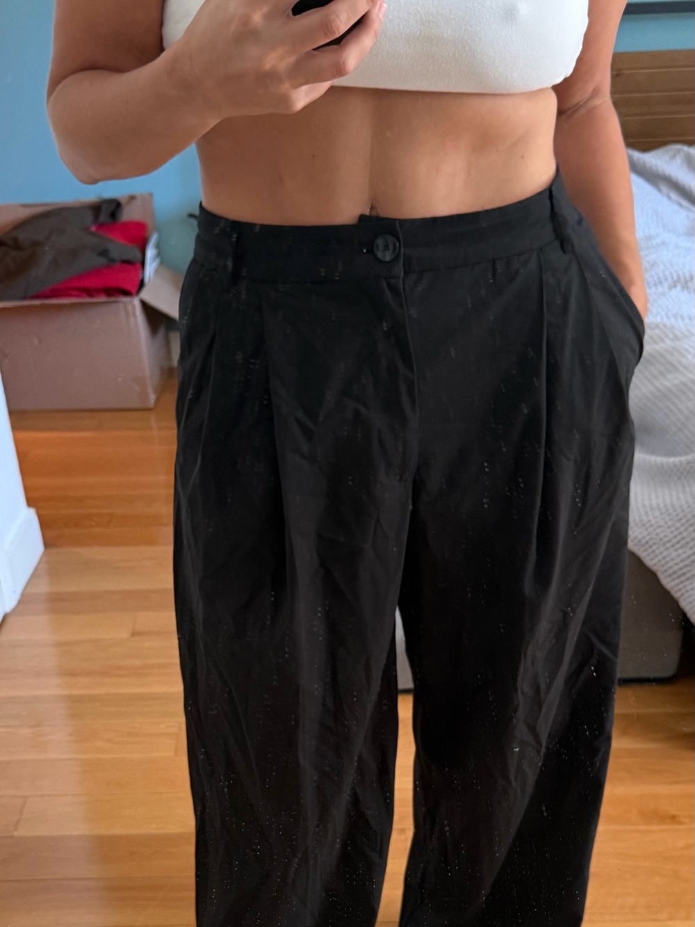 Black High-Waist Pleated Wide-Leg Pants